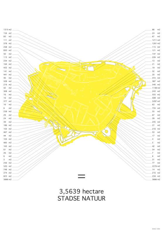 Marjolein Hoornenborg